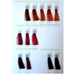 Elgon Get The Color Dolce Tinta Senza Ammoniaca 100ml - immagine 3